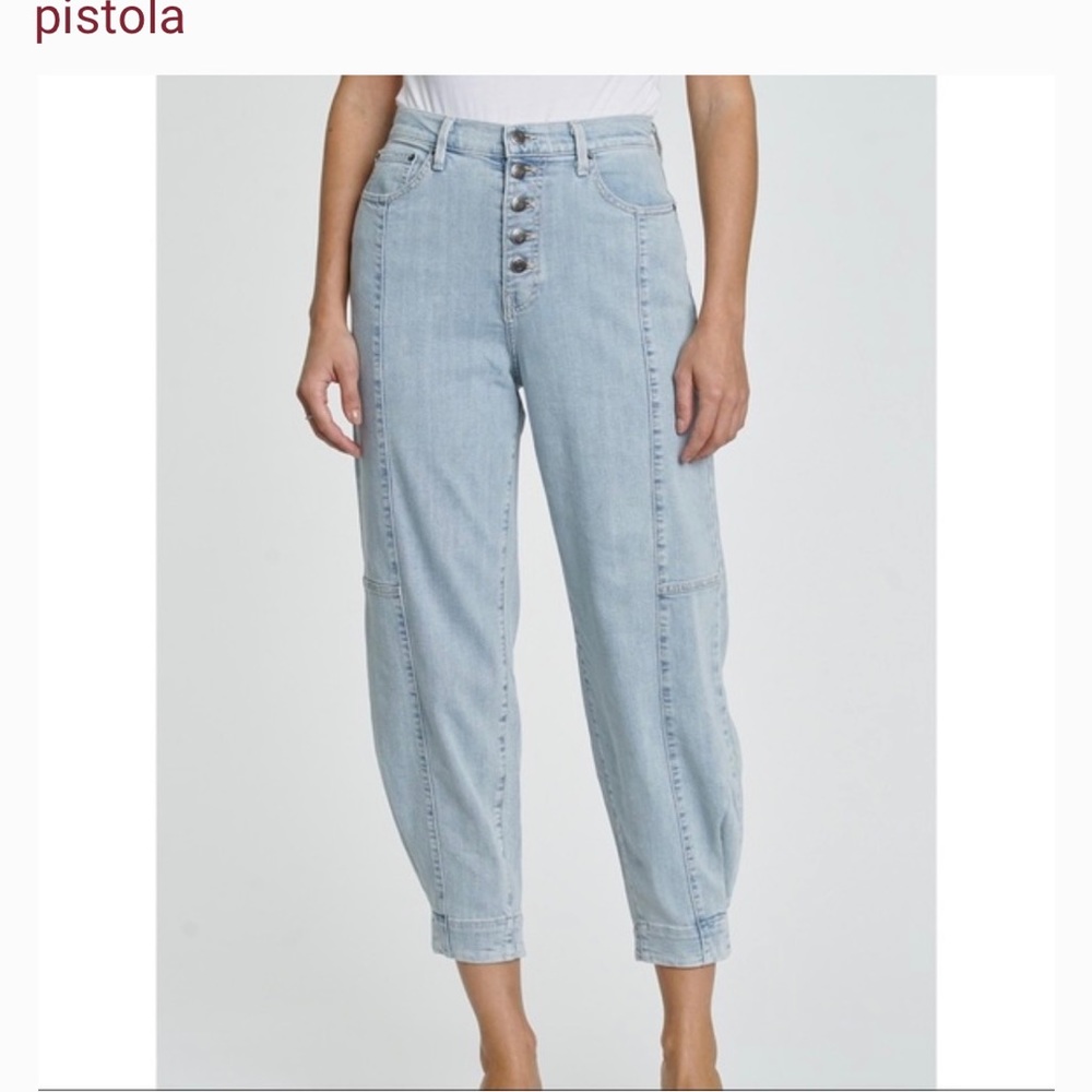 Pistola Silva Barrel/ Carrot Pant in Boulevard from anthropologie